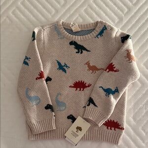 Multicolor Dinosaur Boys Sweater size 24mo